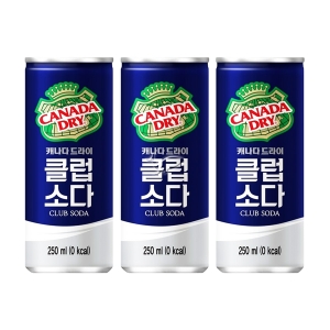 코카콜라음료 캐나다 드라이 클럽소다 250ml