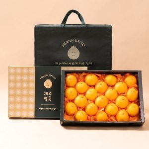 농부들의수확  제주 천혜향 선물세트 특품 9-18과 5kg