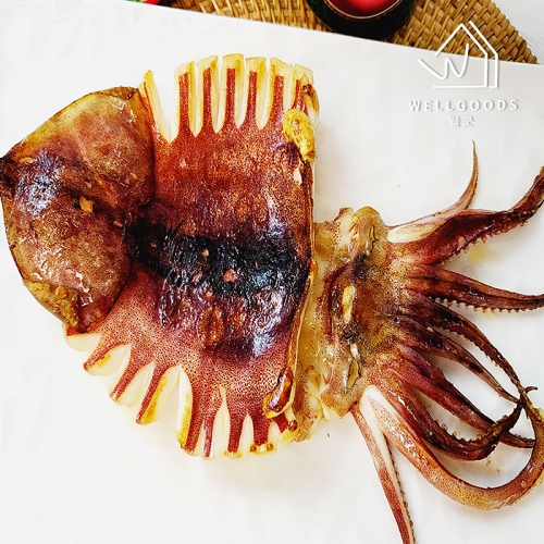 웰굿  겉바속촉 피데기 국산 반건조오징어 510g 2 왕특,6미