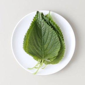 청솔  친환경 깻잎