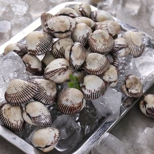 다농이네  알찬 벌교 새꼬막 중 1kg