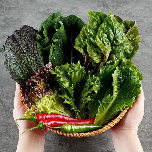 지투지샵  유기농 모듬 쌈채소 1kg