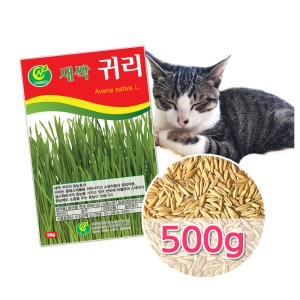 동산원  캣그라스 캣글라스 고양이풀 귀리씨앗 보리씨앗 밀씨