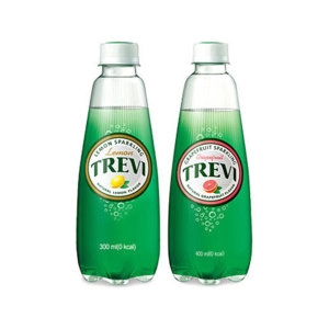 트레비 레몬 300ml 20개 + 자몽 300ml 20개