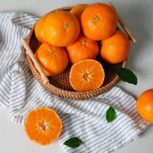 미미의밥상  제주직송 서귀포 레드향 실속세트 10kg 중과 54과내외