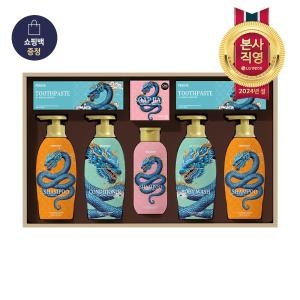 LG생활건강 AI 청룡에디션 프리미엄세트