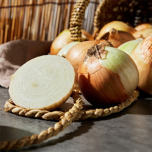 사과랑 자연맛남 맛있는 국내산 양파 중 10kg