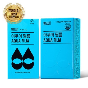 웰릿 아쿠아 필름 320mg 14매
