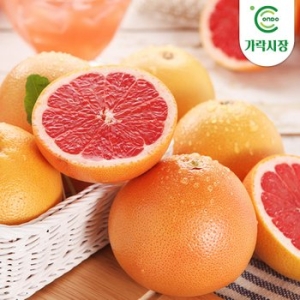 온도씨  가락시장 경매 자몽 1개