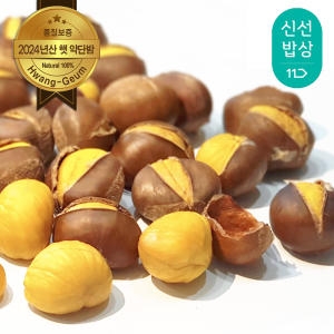 황금약단밤 약밤 칼집밤 500g