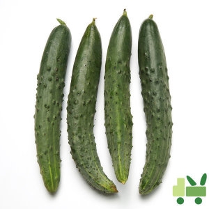 사라상회  취청오이 상 10kg