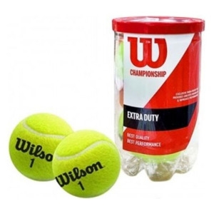 윌슨  챔피언쉽 캔볼 테니스공 2개입 1캔 테니스 1개