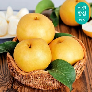 이룸팜스 나주배 가정용 7~9과 3kg