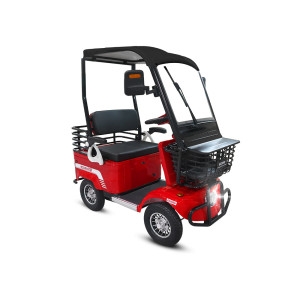 AU테크  시골 골프장 안전한 2인용 전동 스쿠터 카트 에코로XD