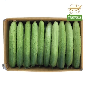 우체국쇼핑  수분의 여왕 백오이 2kg