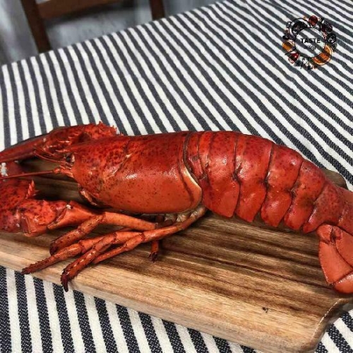 부경수산  테이스트킹 캐나다 냉동 자숙 랍스터 450g