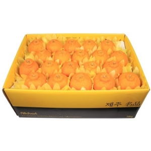 삼다몰  제주 한라봉 중 10kg