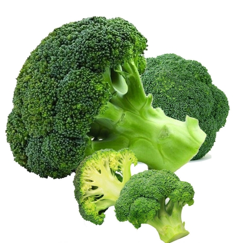 산정마을  국내산 브로콜리 특품 2kg