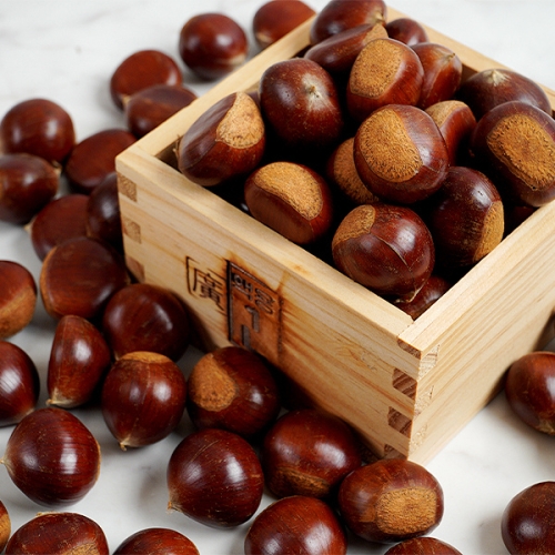 지투지샵  알밤 옥광 2kg 대