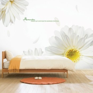 현대시트  뮤럴 디자인 시트지  HWL-2853890 화이트 거베라 ABC (3장) HWL-2853890