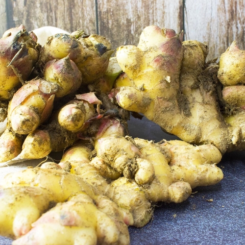 맛템  흙생강 1kg
