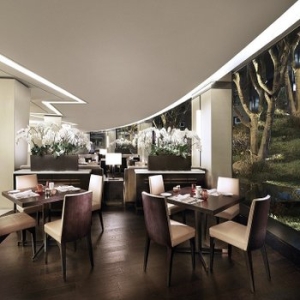 웨스턴 조선 서울 붸페 아리아