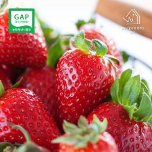 웰굿  논산 설향 딸기 왕특과 48과(개) 1.6kg