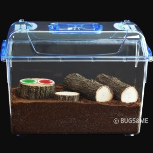 메가벅스  사슴벌레 사육세트 천연인공 사육상자 집 케이스