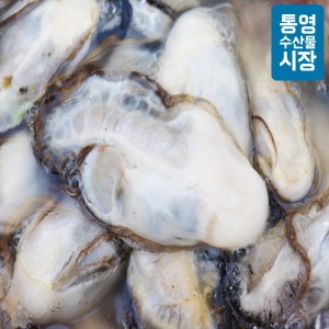통영수산물시장  통영 햇 생굴 2kg