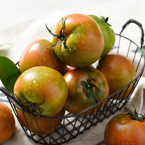 자연맛남  GAP인증 부산 대저토마토 M-2S 2.5kg