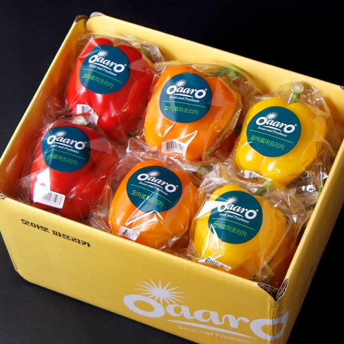 우체국쇼핑  산지별미 오아로파프리카 프리미엄 2.5kg