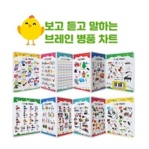 세이펜 태극온펜 64GB (RTT-4000BD) + 브레인 병풍차트