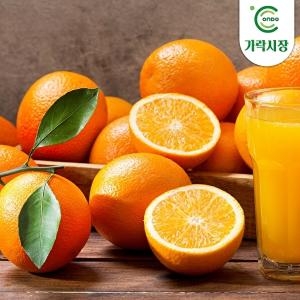 온도씨  가락시장 오렌지