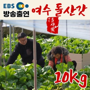 여수 돌산애 갓김치 10kg