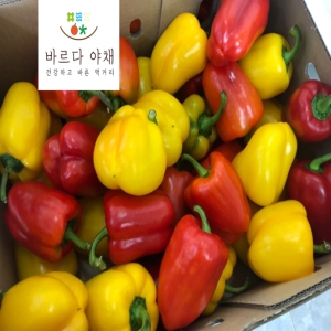바르다야채  혼합파프리카 빨+노 1kg