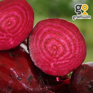 그램원  레드 비트 5KG 알비트 햇 주스용