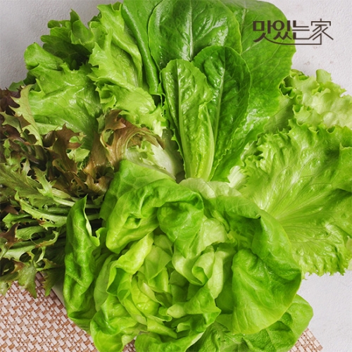 청채원 유럽 샐러드 채소 1kg