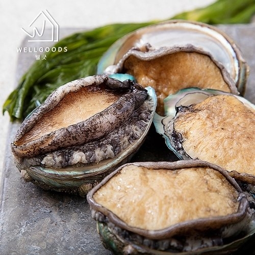 웰굿  명품 싱싱한 완도 활 전복 400g 6-7마리중 _국내산 양식