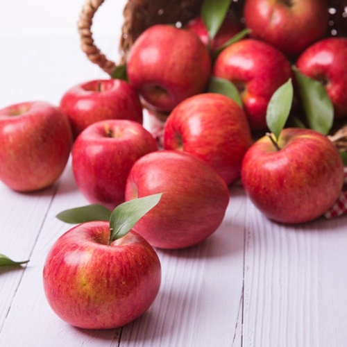 착한식탁  주스용 부사 사과 랜덤과 5kg