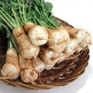 산정마을  알타리 총각무 1단 3kg