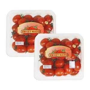 농부들의수확 당도 보장 스테비아 방울토마토 1kg
