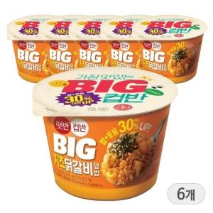 CJ제일제당  햇반 컵반 BIG 치즈닭갈비덮밥 313g