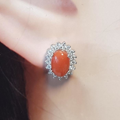 블루케이  하이퀄 천연산호 귀걸이240301-09탄생석