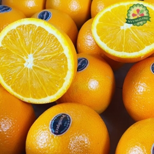 명일원  오렌지 썬키스트 퓨어스펙 블랙라벨 고당도 오렌지 20과 개당160g내외