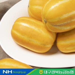 아침의뜰 성주 꿀 참외 가정용 12~26과 5kg