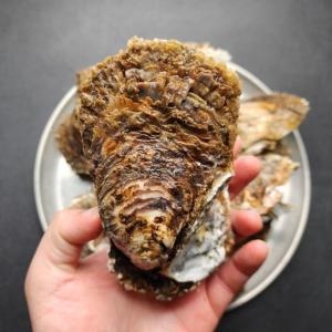 장보리  국내산 제철 벚굴 6kg