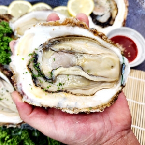 위플러스온  거제도 해녀 자연산 바위굴 10kg