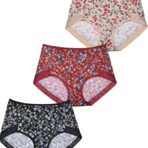 럭센스 오노마 ONM 나염 레이스 엄마 아줌마 맥시 삼각팬티 요일 11878319