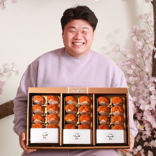 예다움  상주곶감 프리미엄 곶감 반건시 연말 명절 선물세트