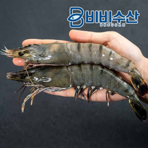 비비수산  블랙타이거새우 20미 500g